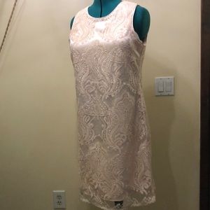 Beautiful blush sheath dress